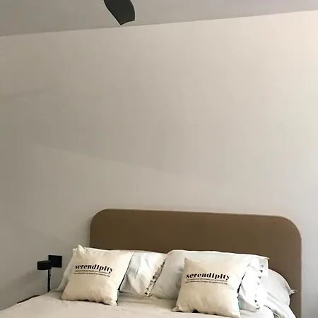 Calma * 弗龙特拉