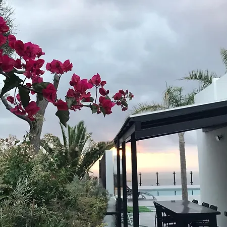 Calma فيلة